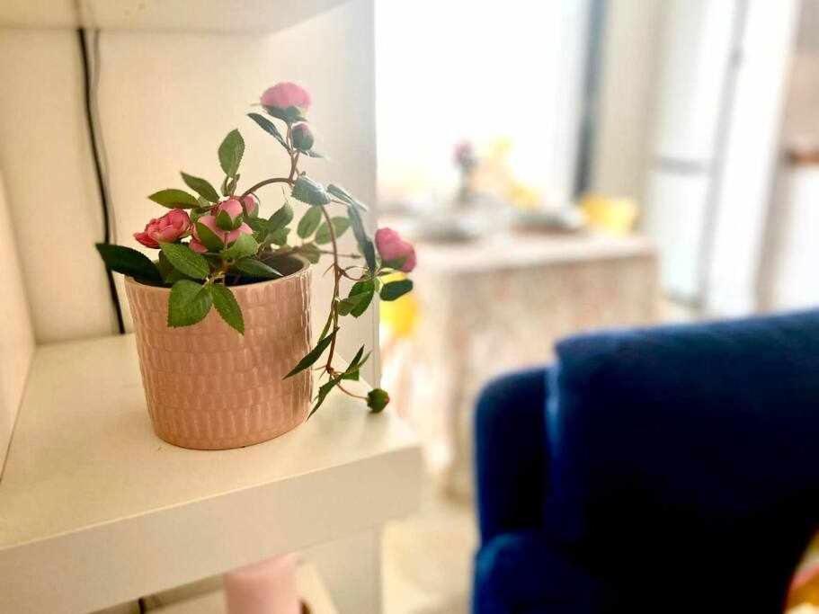 טורה דל מאר Apartamento Antonio By Solymar Holiday מראה חיצוני תמונה